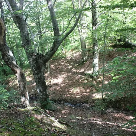 Poggio Cuna * Londa